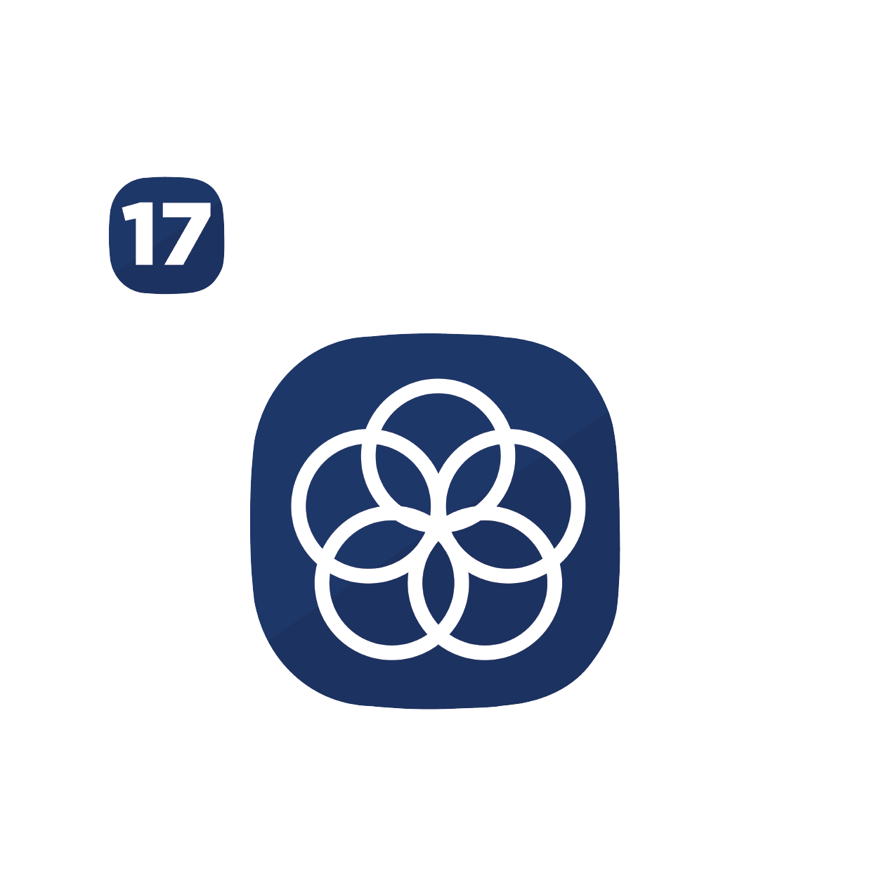 SDG 17
